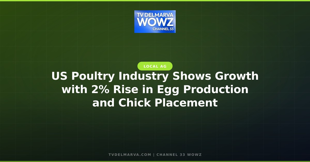 US Poultry Industry Shows Growth with 2% Rise in Egg Production and Chick Placement