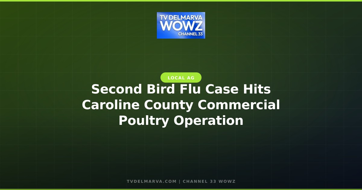 Second Bird Flu Case Hits Caroline County Commercial Poultry Operation