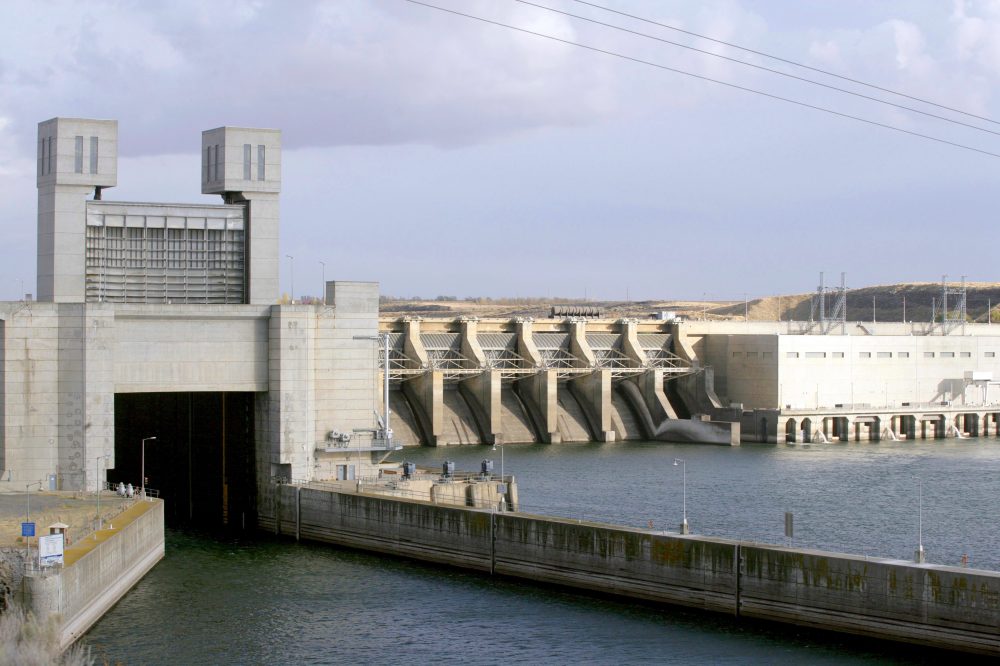 Federal Judge Mandates Dam Changes to Save Pacific Northwest Salmon