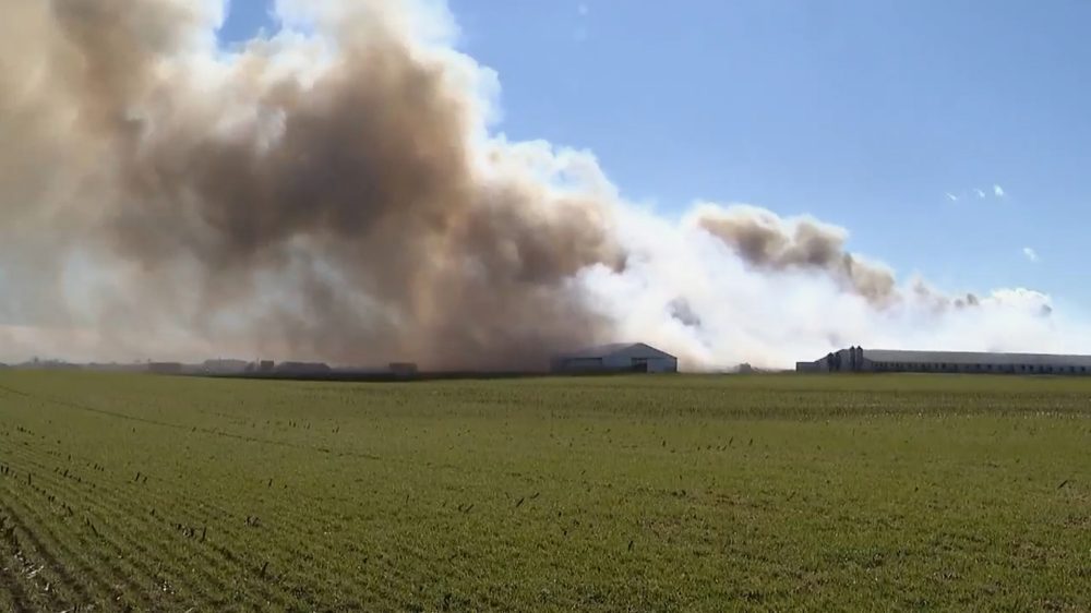 Massive Ohio Farm Fire Claims Nearly 6,000 Hogs, Smoke Plumes Seen for Miles