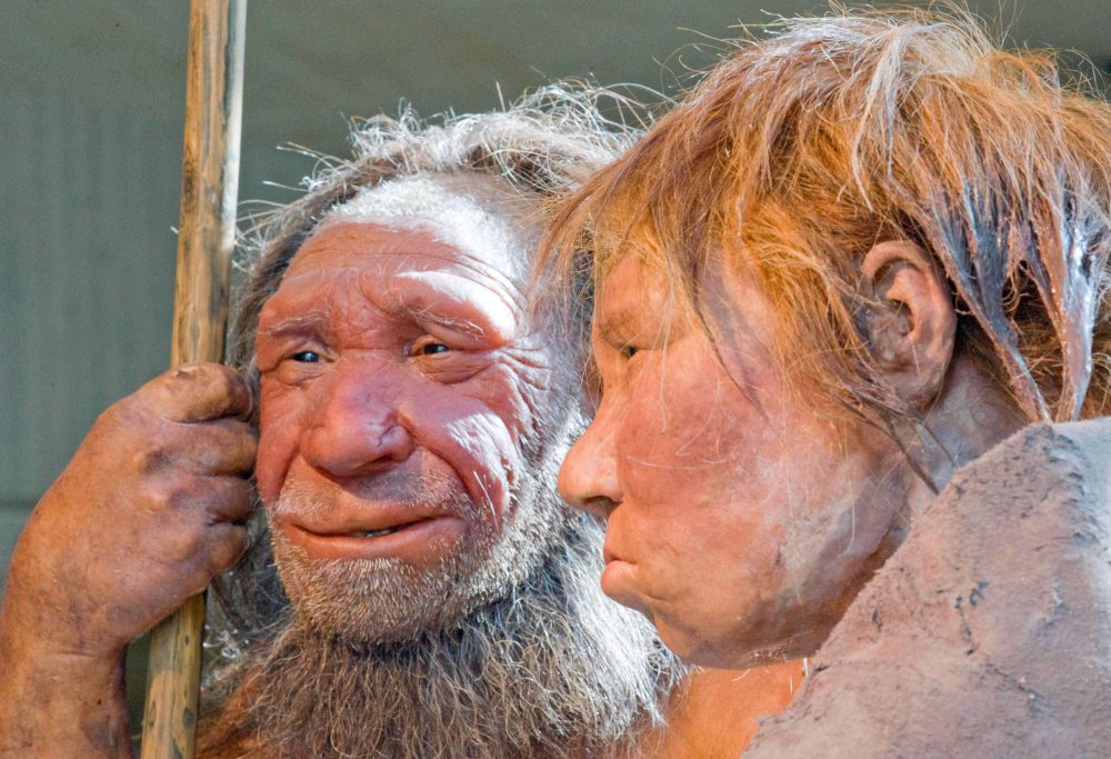 DNA Study Reveals Pattern in Ancient Human-Neanderthal Relationships