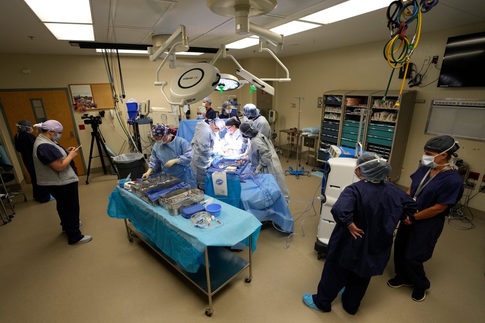 Heart-Stopped Organ Donations Surge Nearly 50%, Raising New Medical Questions