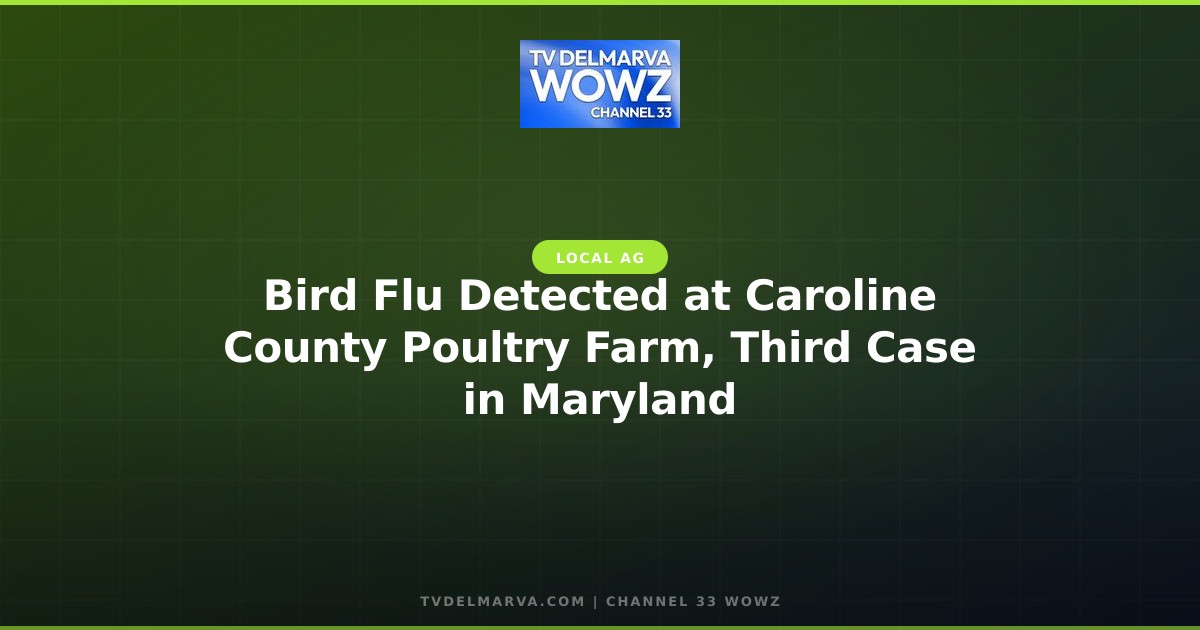 Bird Flu Detected at Caroline County Poultry Farm, Third Case in Maryland