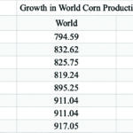 Global Corn Production Surges 15% Since 2017, Impacting Delaware Farmers