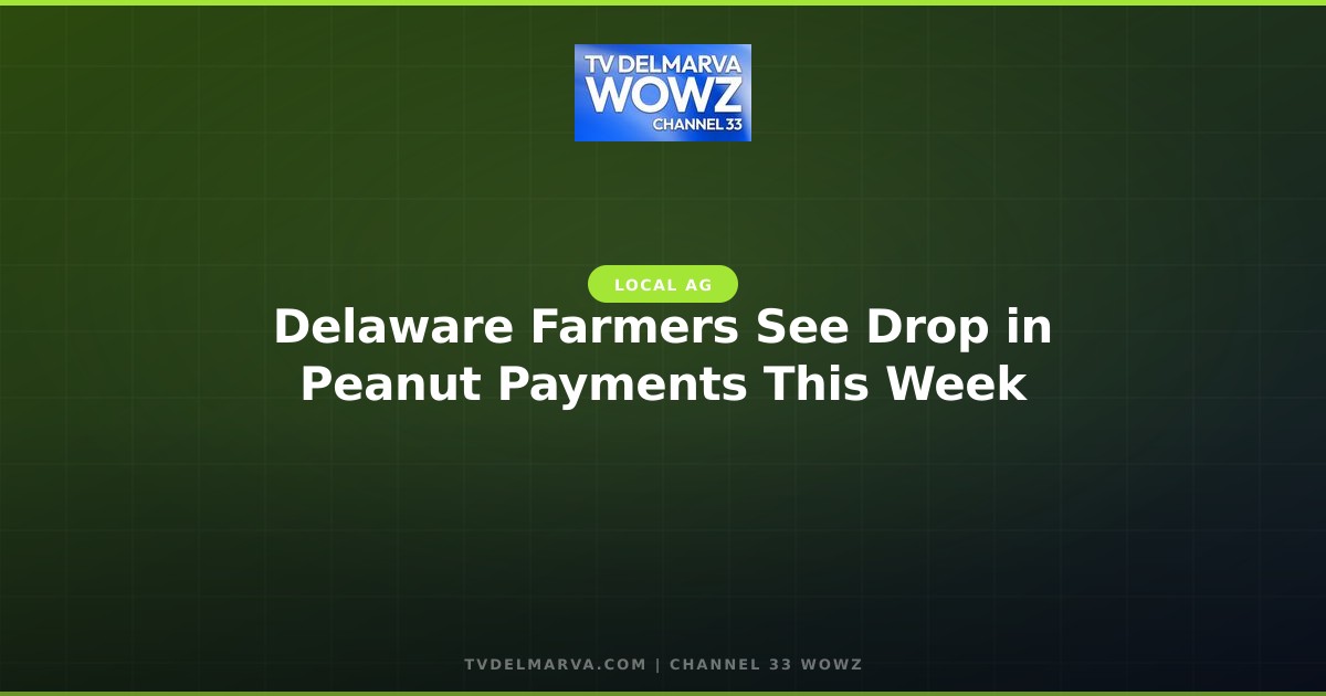 Delaware Farmers See Drop in Peanut Payments This Week