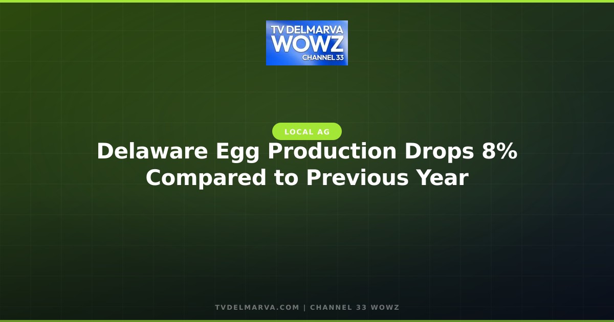 Delaware Egg Production Drops 8% Compared to Previous Year