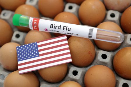 Avian Flu Kills 7.4 Million Chickens in Pennsylvania Over Past Month