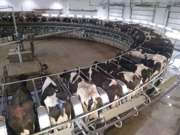 Pierce County Wisconsin Rejects New Farm Restrictions After Producer Pushback