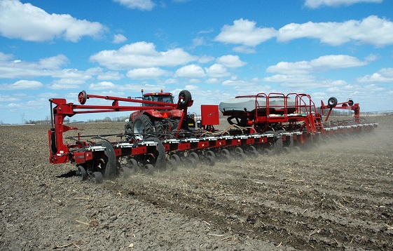 Corn Farming Expected to Bounce Back Despite Rising Costs