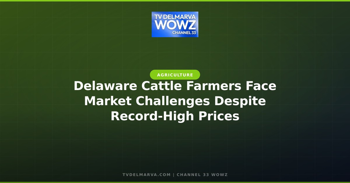 Delaware Cattle Farmers Face Market Challenges Despite Record-High Prices