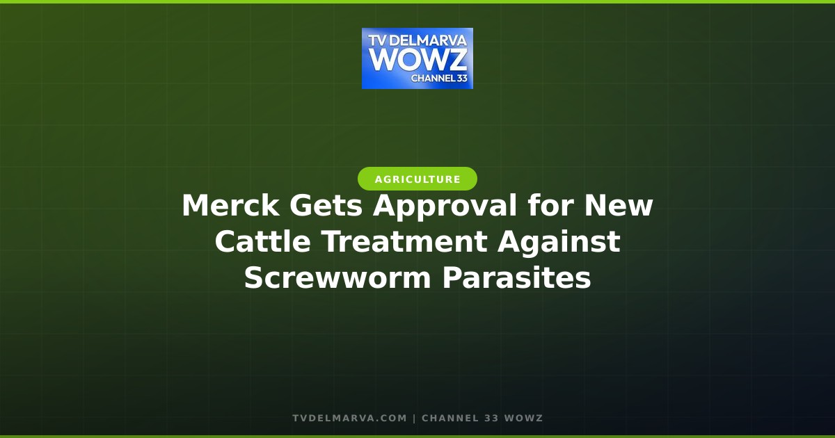 Merck Gets Approval for New Cattle Treatment Against Screwworm Parasites