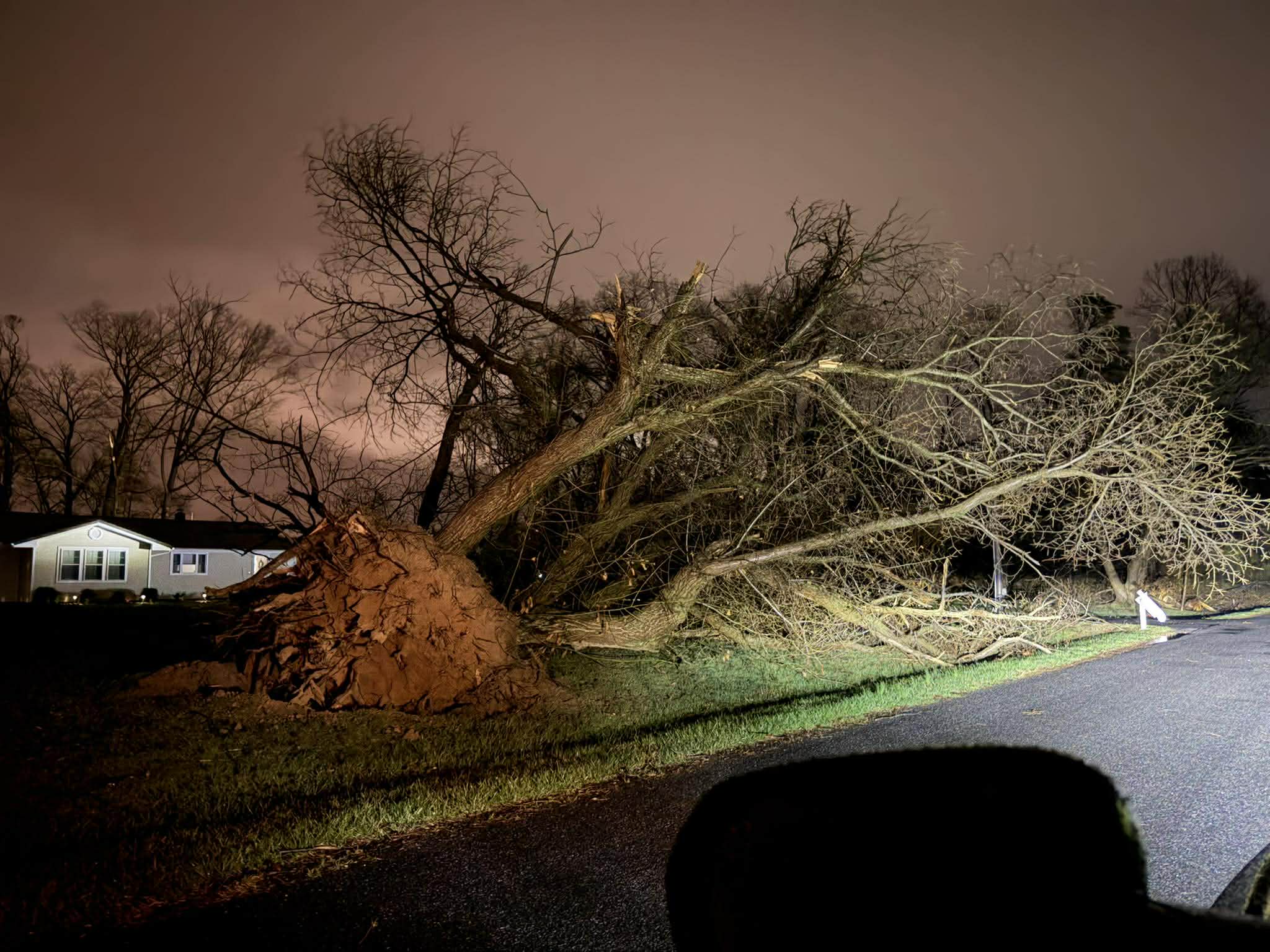 Powerful Winds Sweep Across Delaware and Maryland, Tornado Damage Still Being Investigated