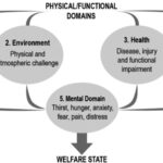 Expert Explains New Ways to Measure Farm Animal Well-Being Beyond Basic Health