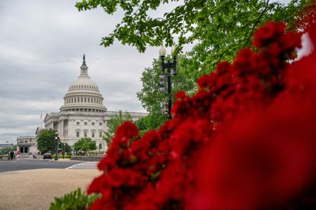 Key Senate Battles Shape 2026 Midterm Elections Across Eight States