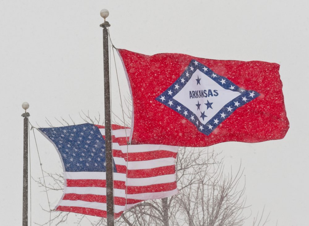 Arkansas Primary Elections Set Stage for November Midterm Contests
