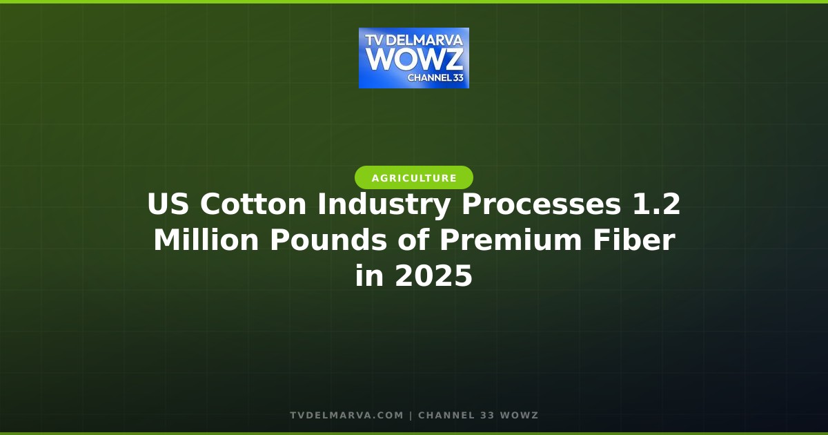 US Cotton Industry Processes 1.2 Million Pounds of Premium Fiber in 2025