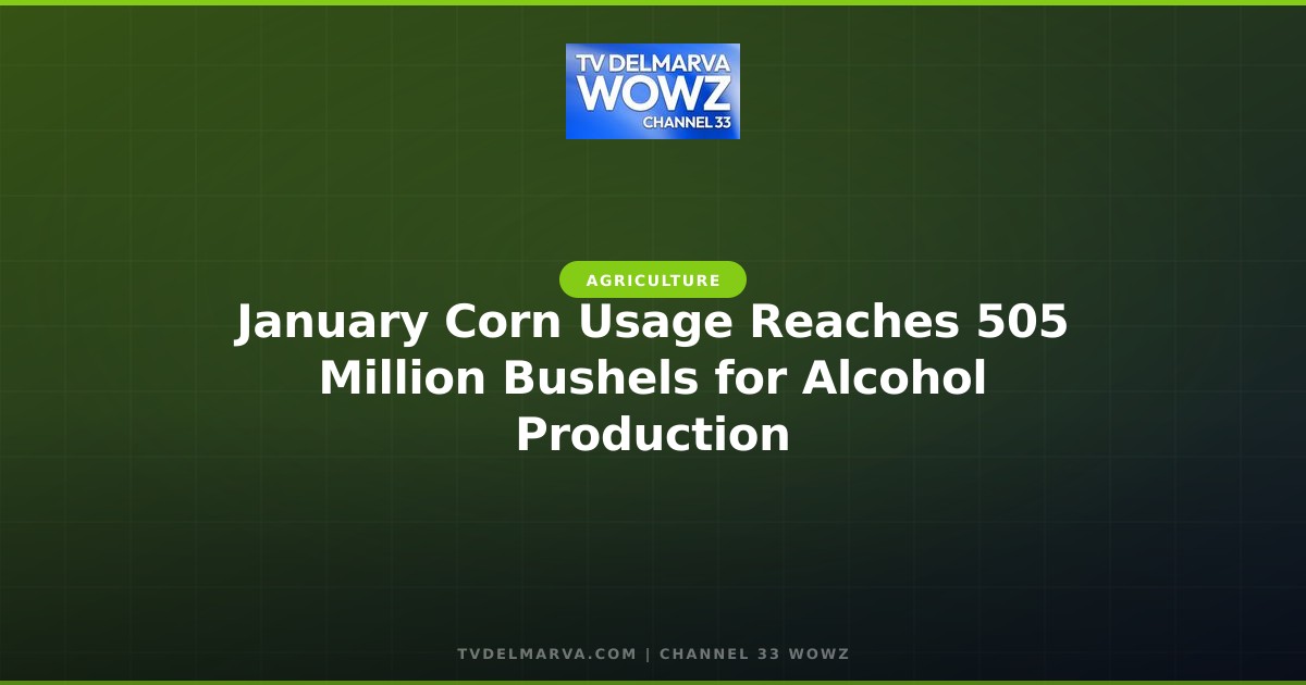 January Corn Usage Reaches 505 Million Bushels for Alcohol Production