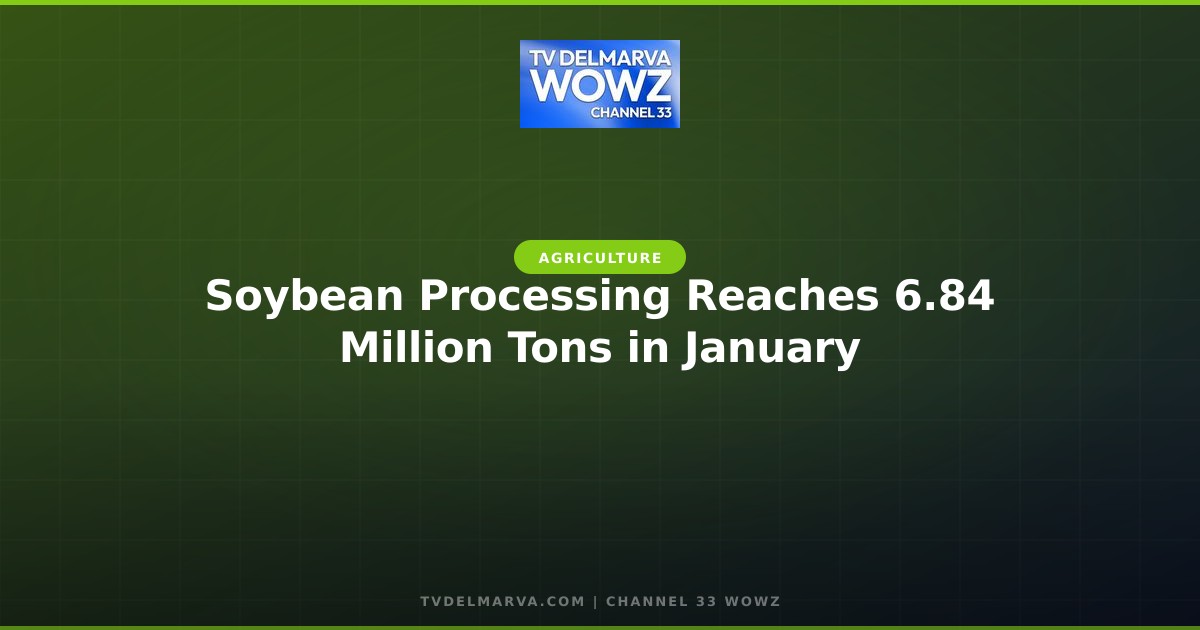 Soybean Processing Reaches 6.84 Million Tons in January