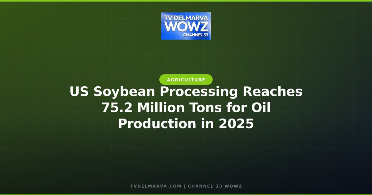 US Soybean Processing Reaches 75.2 Million Tons for Oil Production in 2025