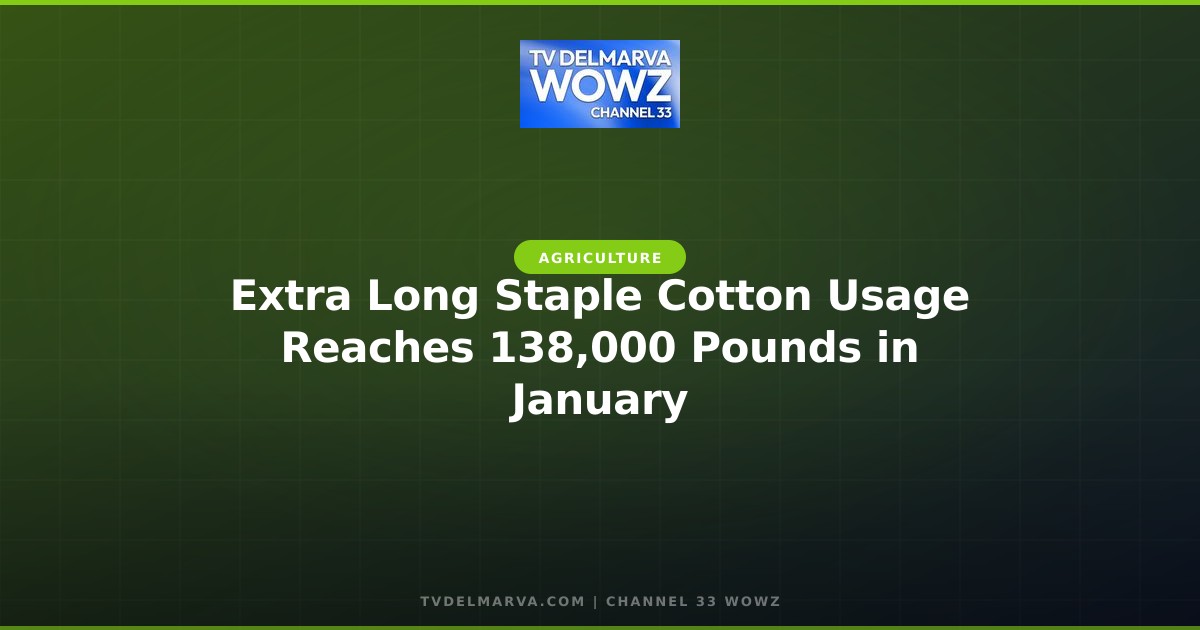 Extra Long Staple Cotton Usage Reaches 138,000 Pounds in January