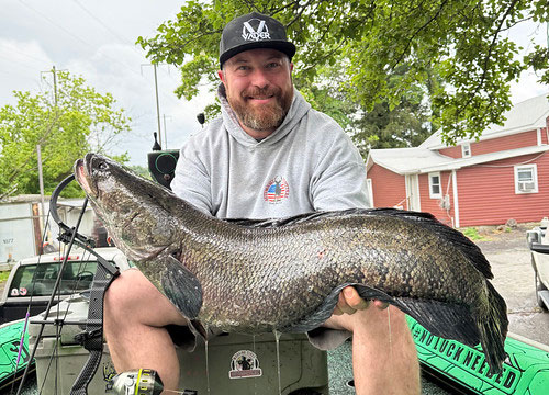Bow Hunters Leading Fight Against Invasive Snakehead Fish in Chesapeake Bay