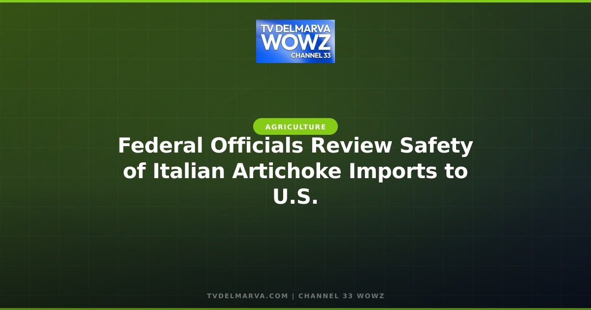 Federal Officials Review Safety of Italian Artichoke Imports to U.S.