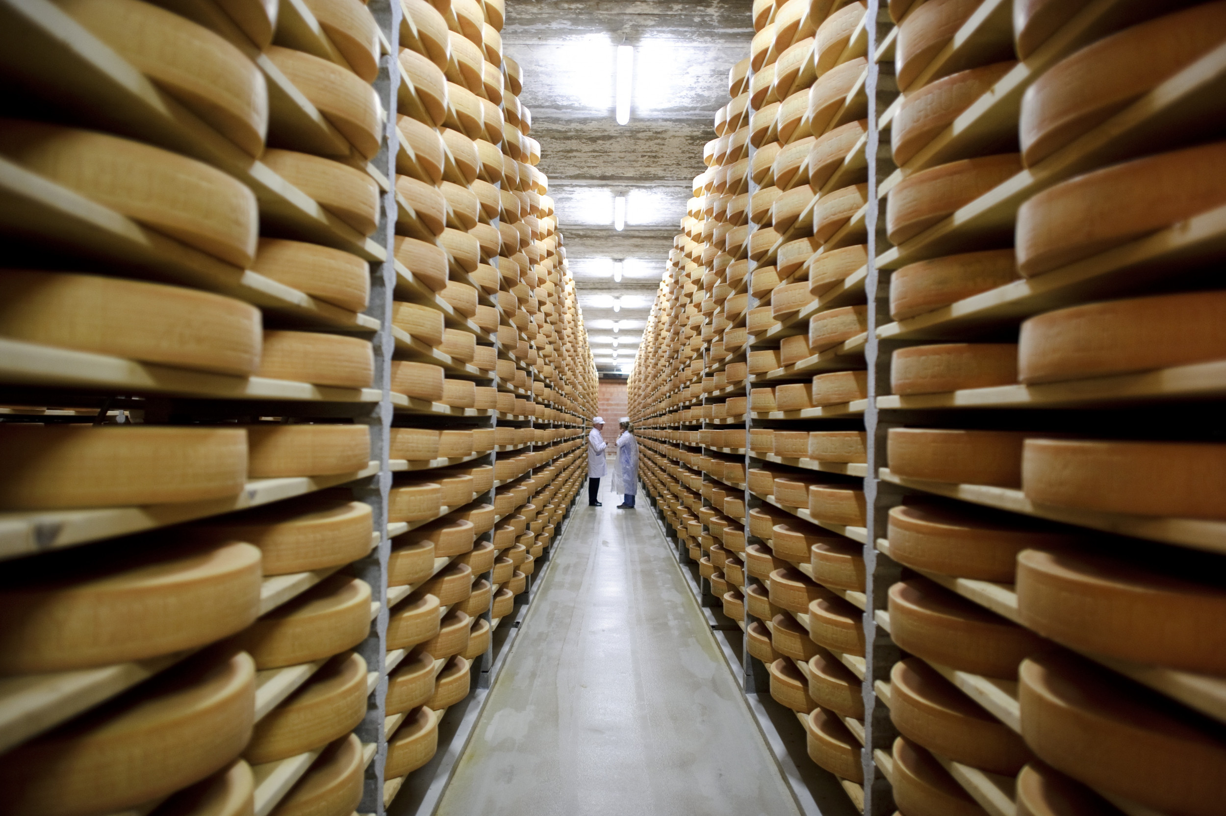 Federal Government Commits $148M to Support Struggling Dairy Farmers