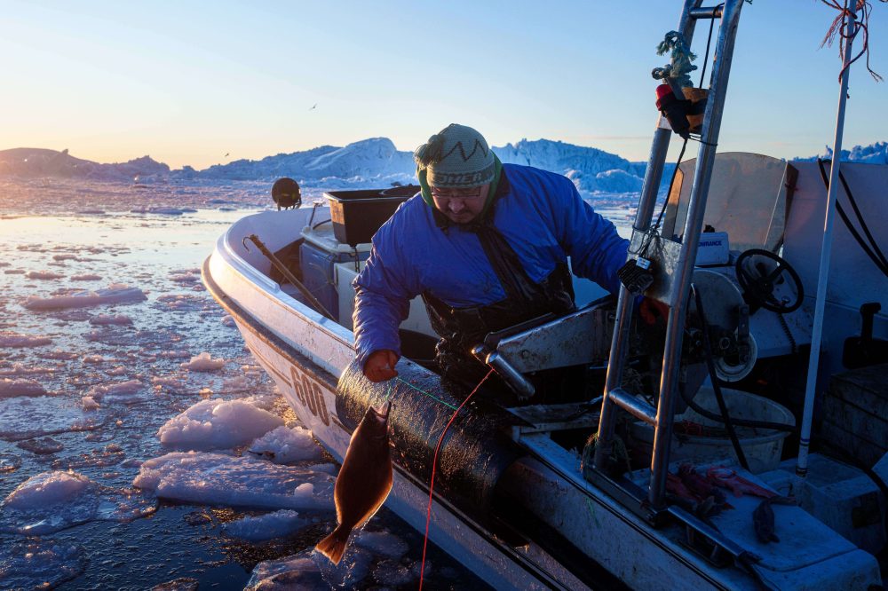 Climate Change Threatens Greenland’s Fishing Industry as Waters Warm