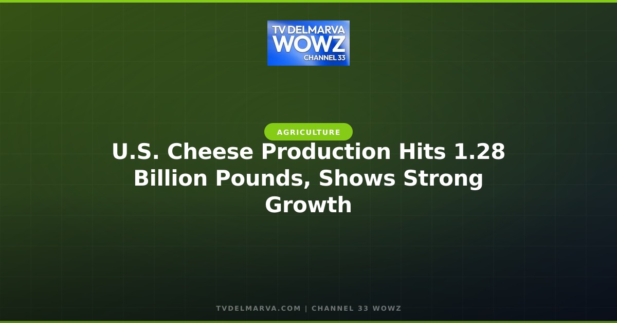 U.S. Cheese Production Hits 1.28 Billion Pounds, Shows Strong Growth