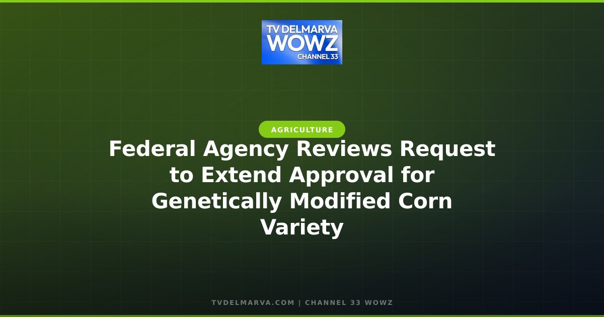 Federal Agency Reviews Request to Extend Approval for Genetically Modified Corn Variety