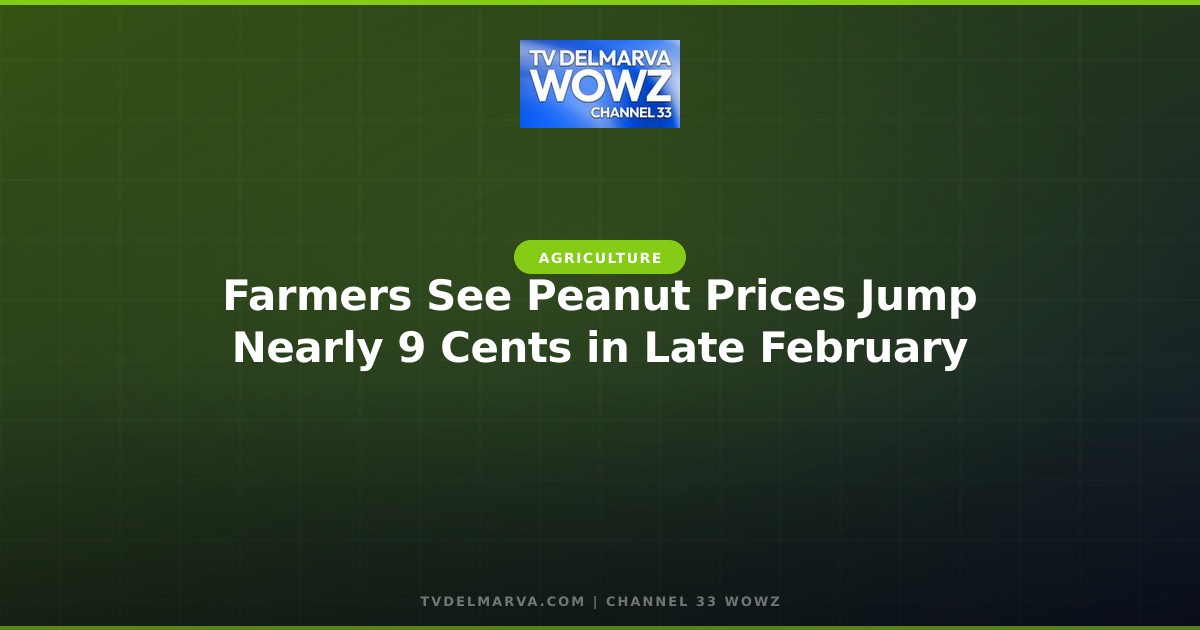 Farmers See Peanut Prices Jump Nearly 9 Cents in Late February