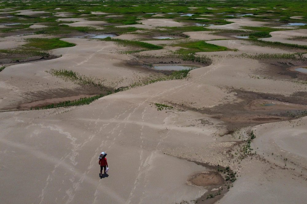 Dangerous Heat-Then-Drought Events Accelerating Worldwide, Scientists Warn