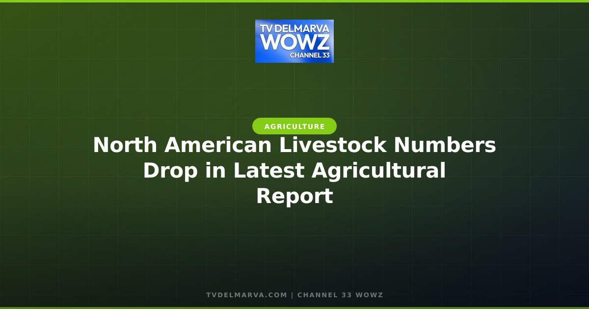 North American Livestock Numbers Drop in Latest Agricultural Report