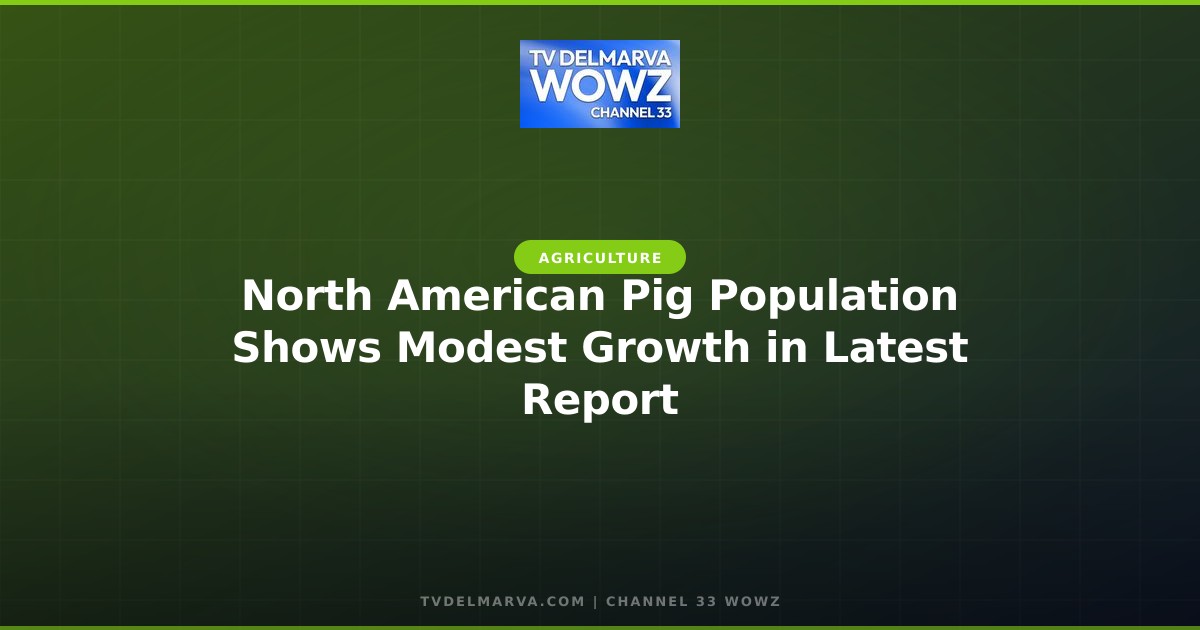 North American Pig Population Shows Modest Growth in Latest Report