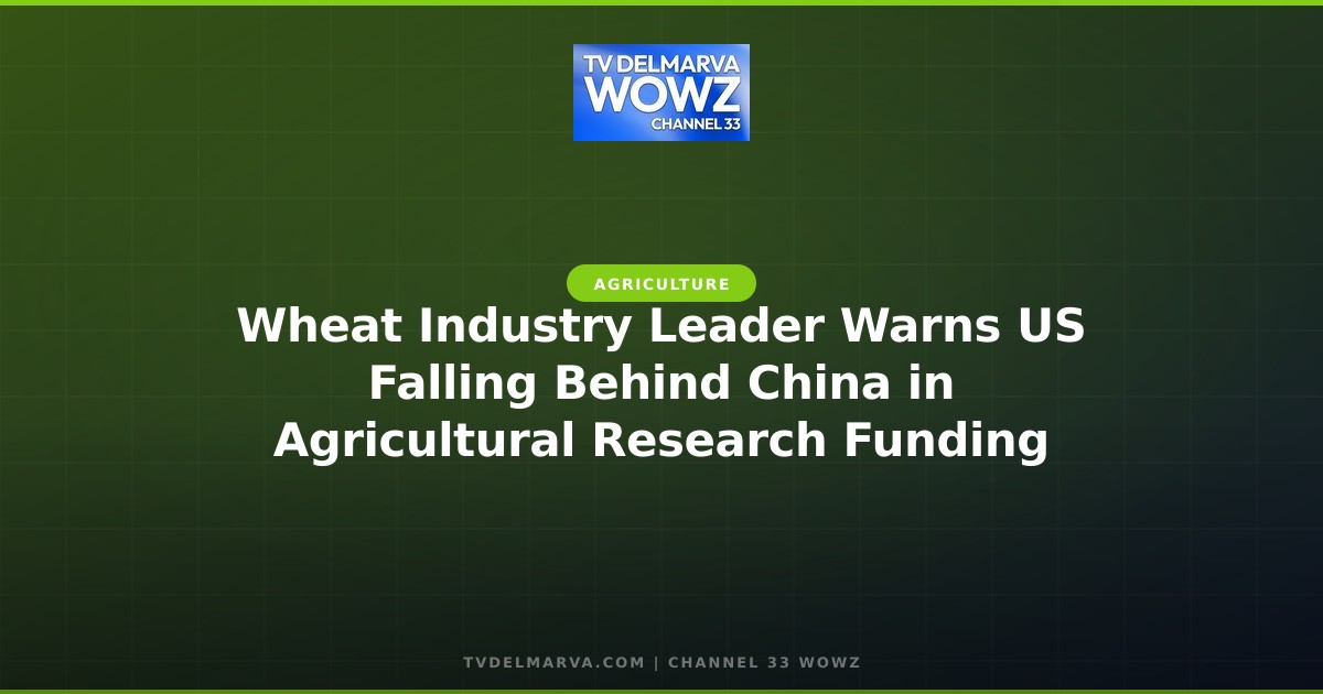 Wheat Industry Leader Warns US Falling Behind China in Agricultural Research Funding