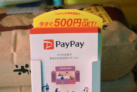 Japanese Payment Company PayPay Expected to Price IPO at Lower End Due to Market Turmoil