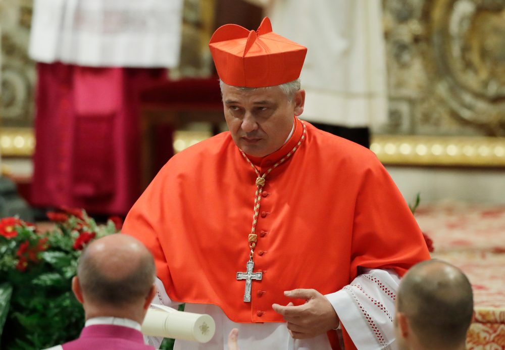 Pope Leo XIV Names Fellow Augustinian to Lead Vatican Charity Operations