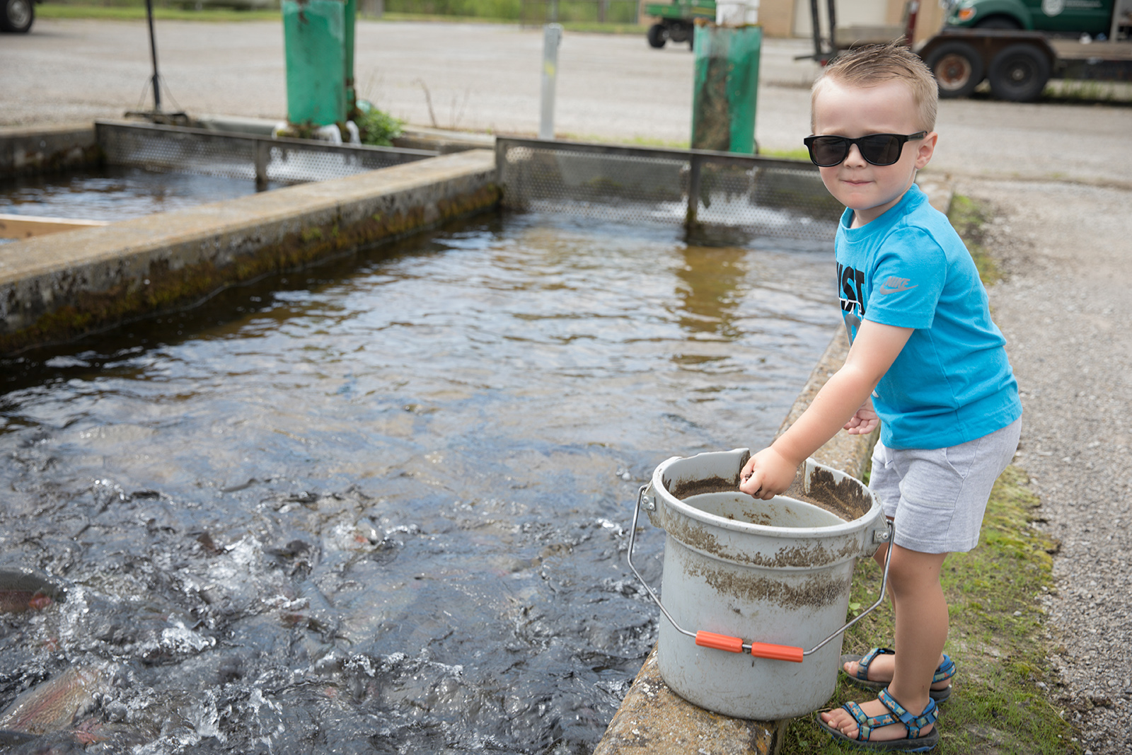Northeast Fish Hatcheries Face Crisis as Aging Infrastructure Threatens Fishing Future