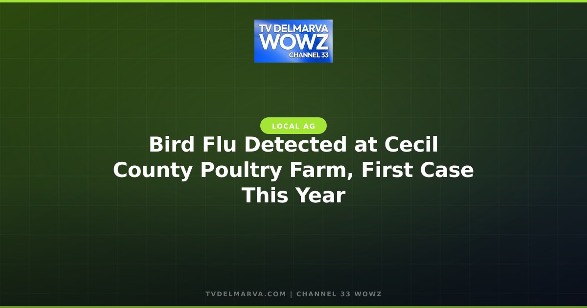 Bird Flu Detected at Cecil County Poultry Farm, First Case This Year