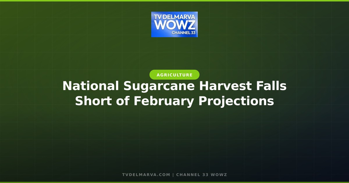 National Sugarcane Harvest Falls Short of February Projections