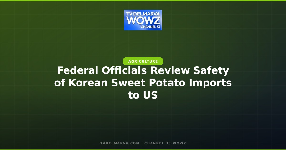 Federal Officials Review Safety of Korean Sweet Potato Imports to US