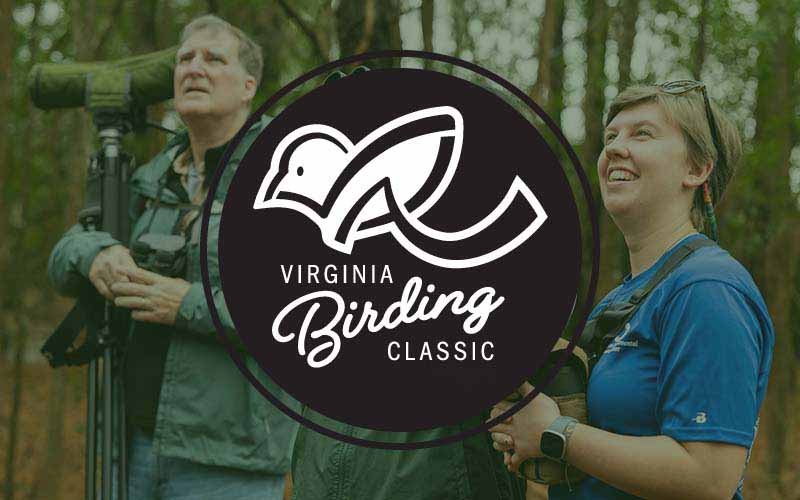 Virginia’s Annual Birding Classic Returns for Third Year