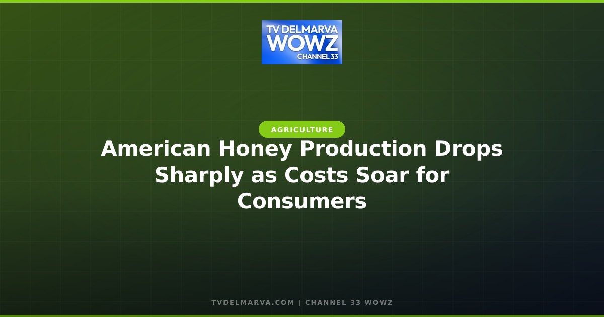 American Honey Production Drops Sharply as Costs Soar for Consumers
