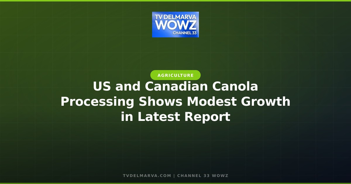 US and Canadian Canola Processing Shows Modest Growth in Latest Report