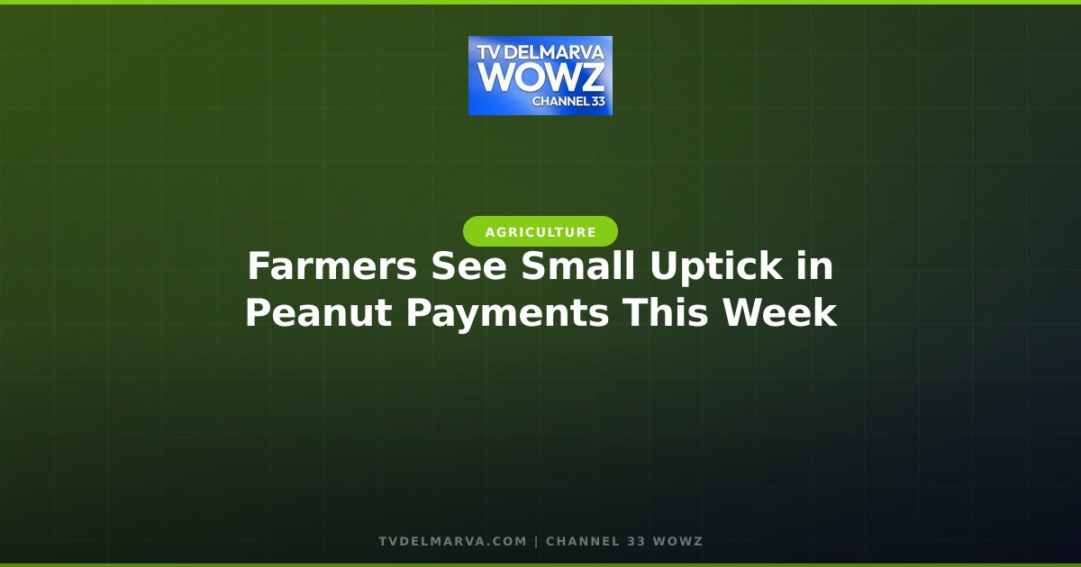 Farmers See Small Uptick in Peanut Payments This Week