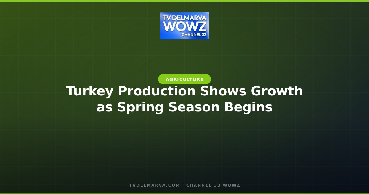 Turkey Production Shows Growth as Spring Season Begins