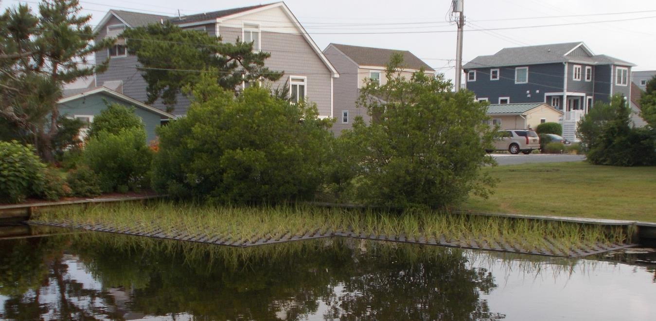 Delaware Water Quality Grants Available for Community Groups