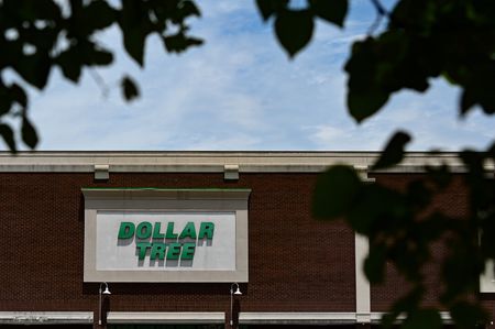 Dollar Tree Projects Weak Sales as Cash-Strapped Shoppers Cut Back