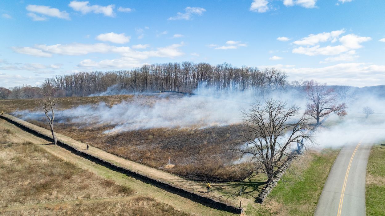 Brandywine Creek State Park Plans March Prescribed Fire for Wildlife Habitat
