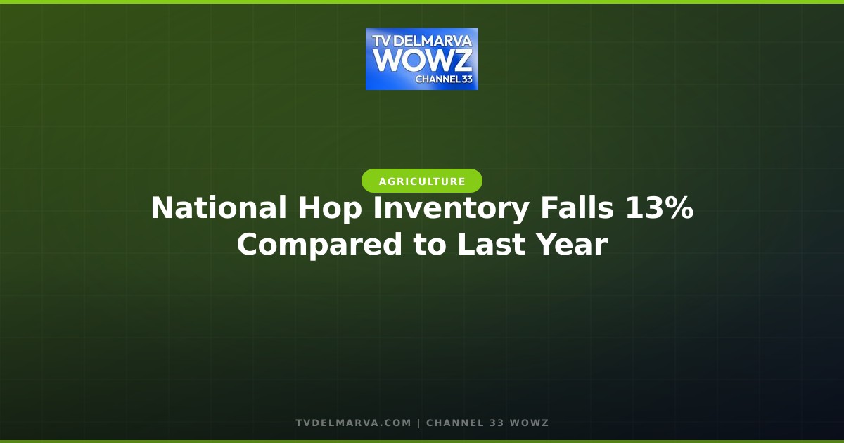 National Hop Inventory Falls 13% Compared to Last Year